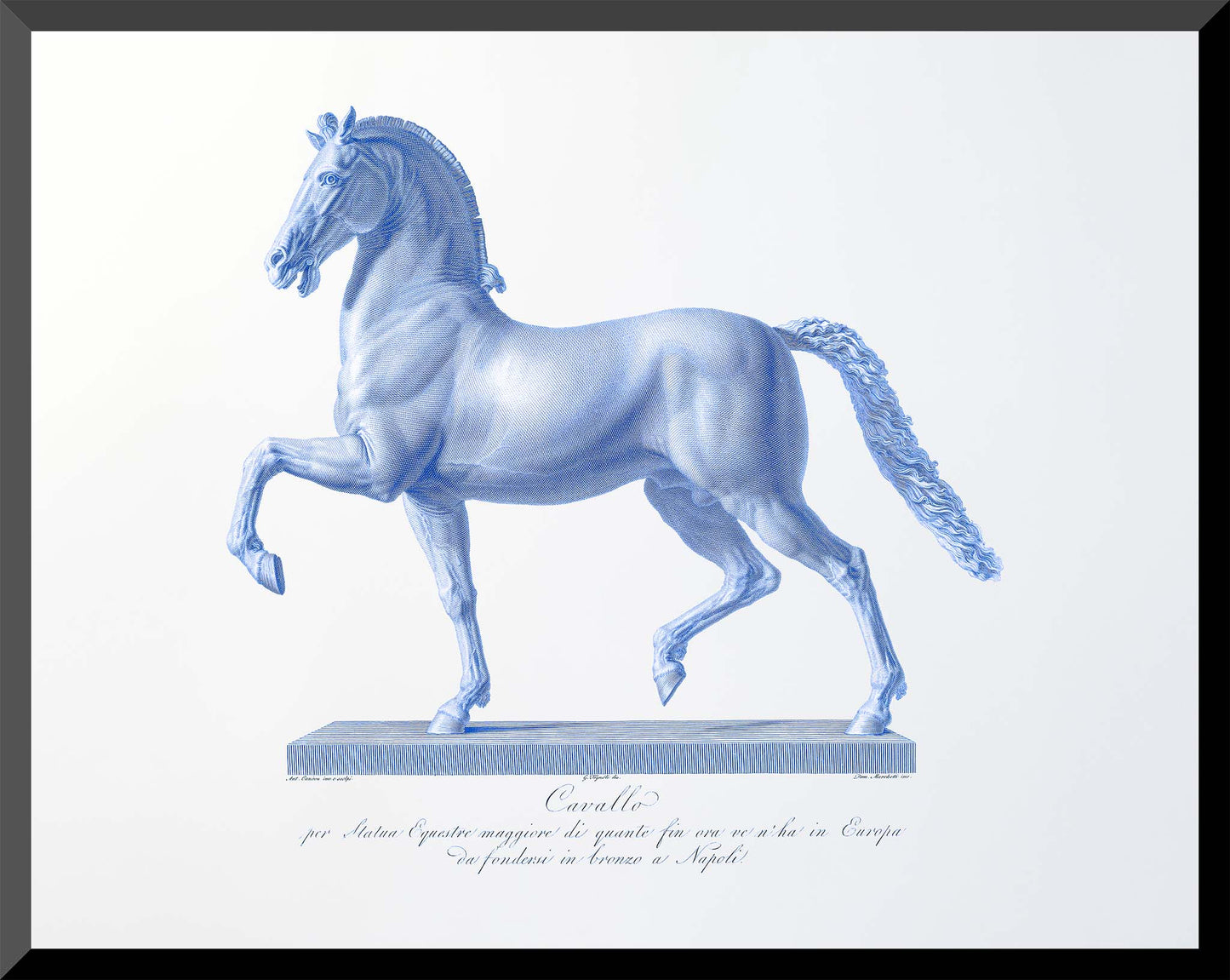 11x14-regal-stallion-horse-engraving