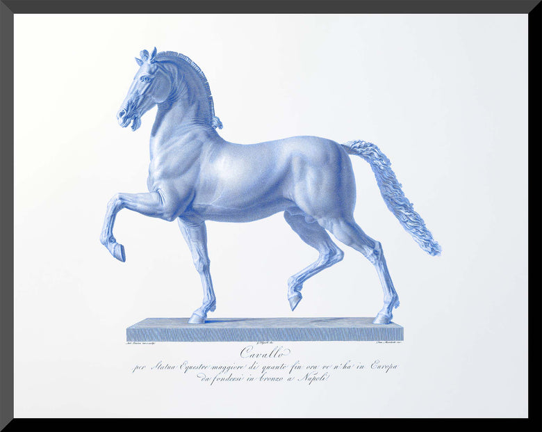11x14-regal-stallion-horse-engraving