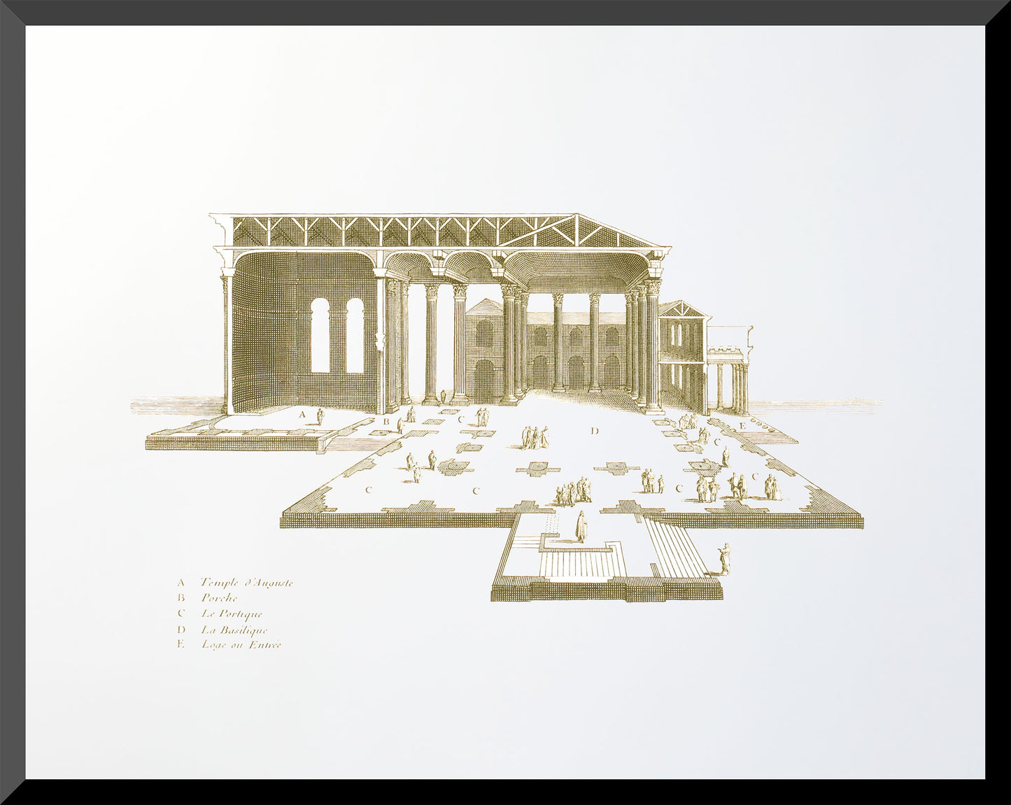 Architectural etching of a cross-section of the Temple of Augustus in Rome