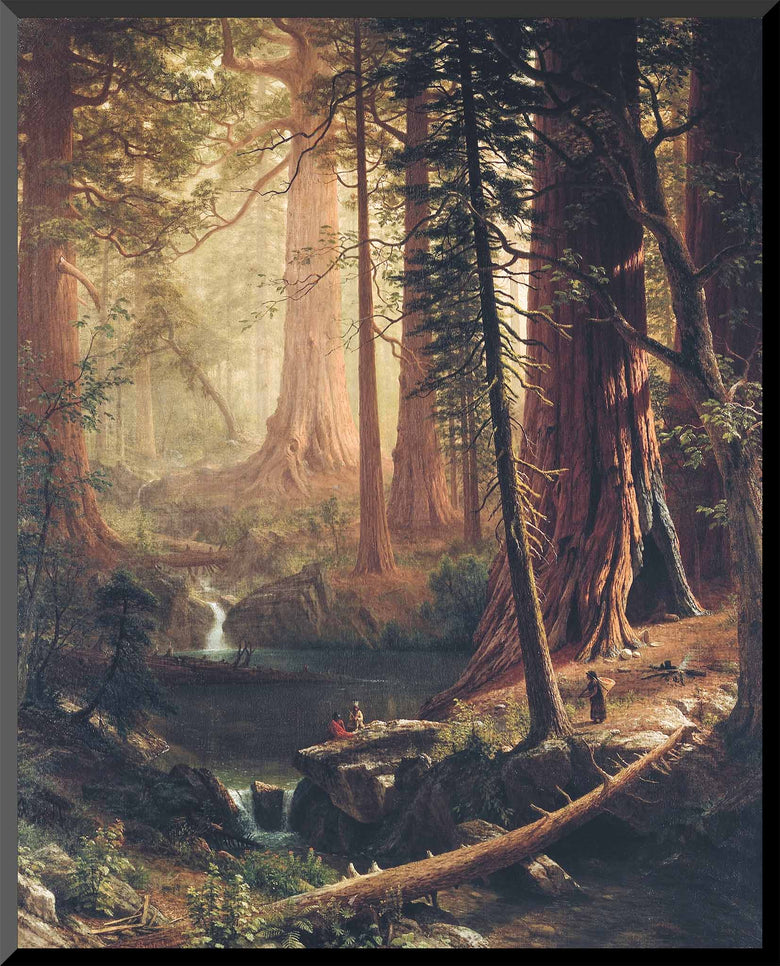 16x20 art print of California redwoods landscape by Albert Bierstadt, 1874