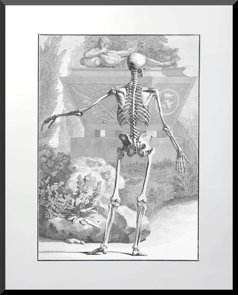 Etching of a rear-view skeleton before a tomb, Enlightenment-era anatomical illustration