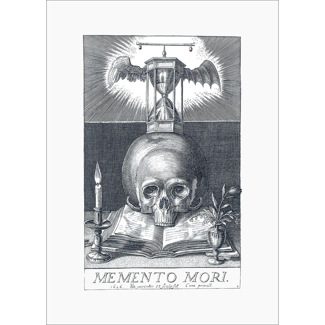5x7 Vanitas Skull
