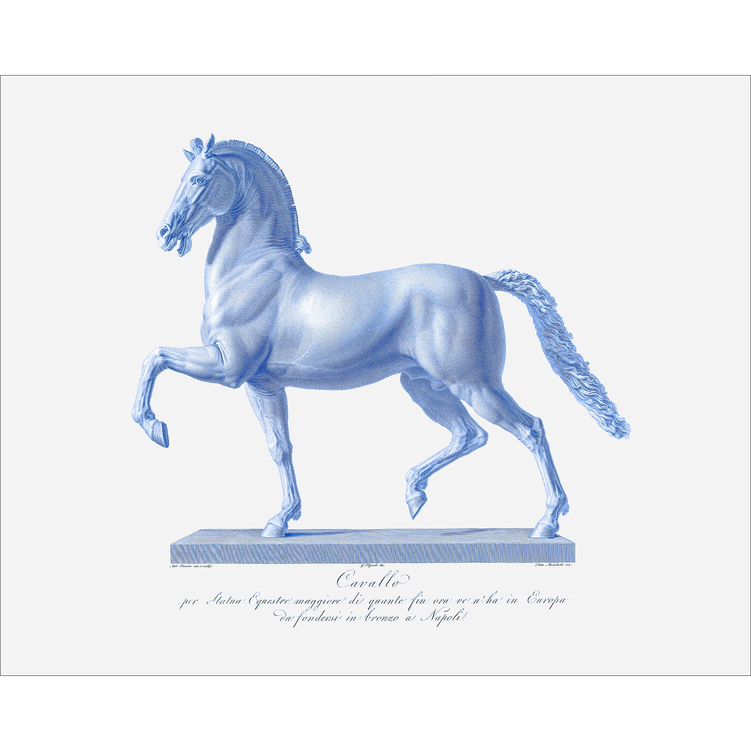 8x10 Cavallo