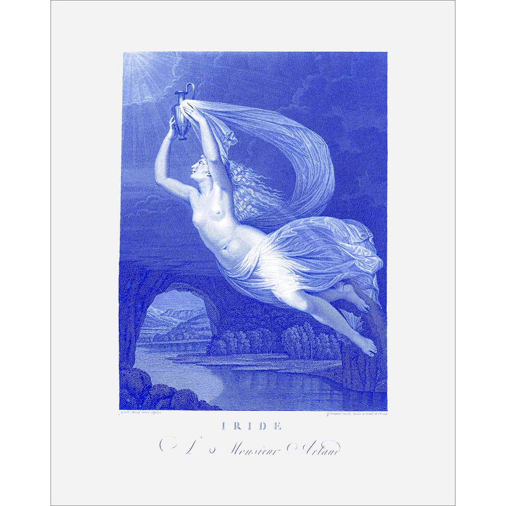 8x10 Iride (Iris) Ascending