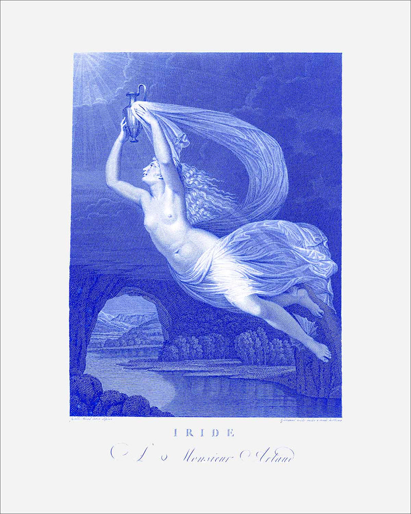 8x10 Iride (Iris) Ascending