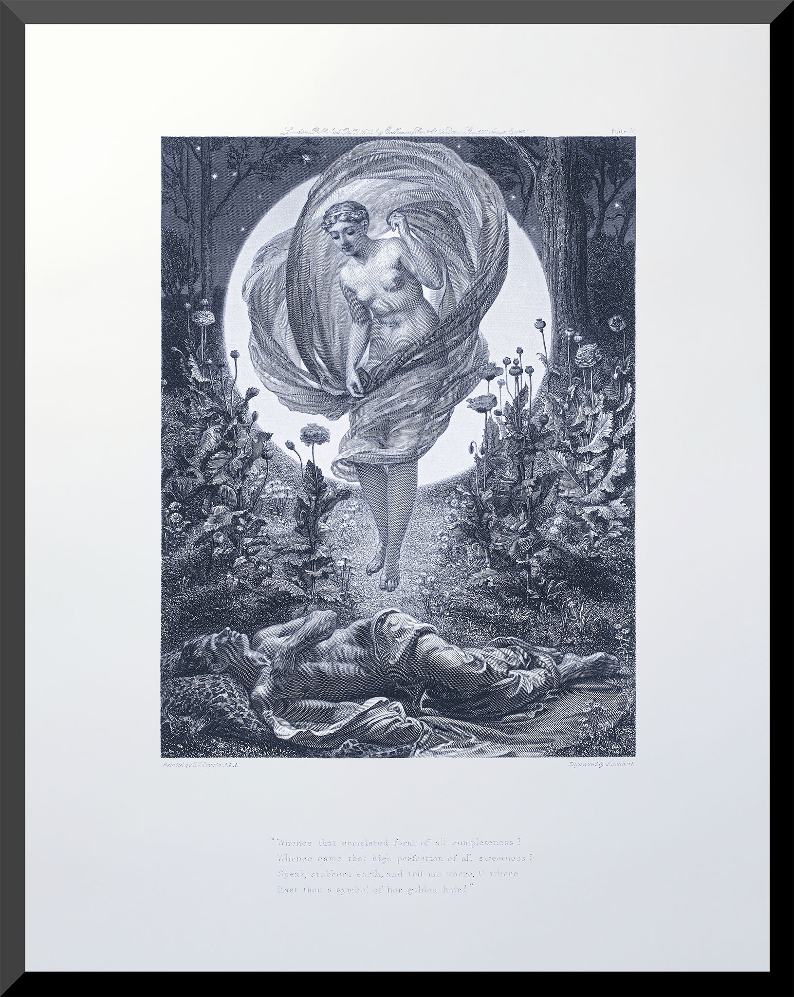 Moonlit Vision