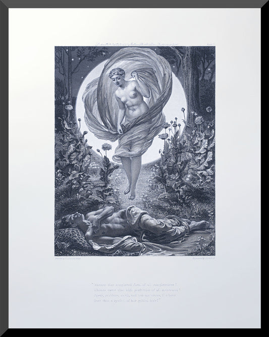Moonlit Vision