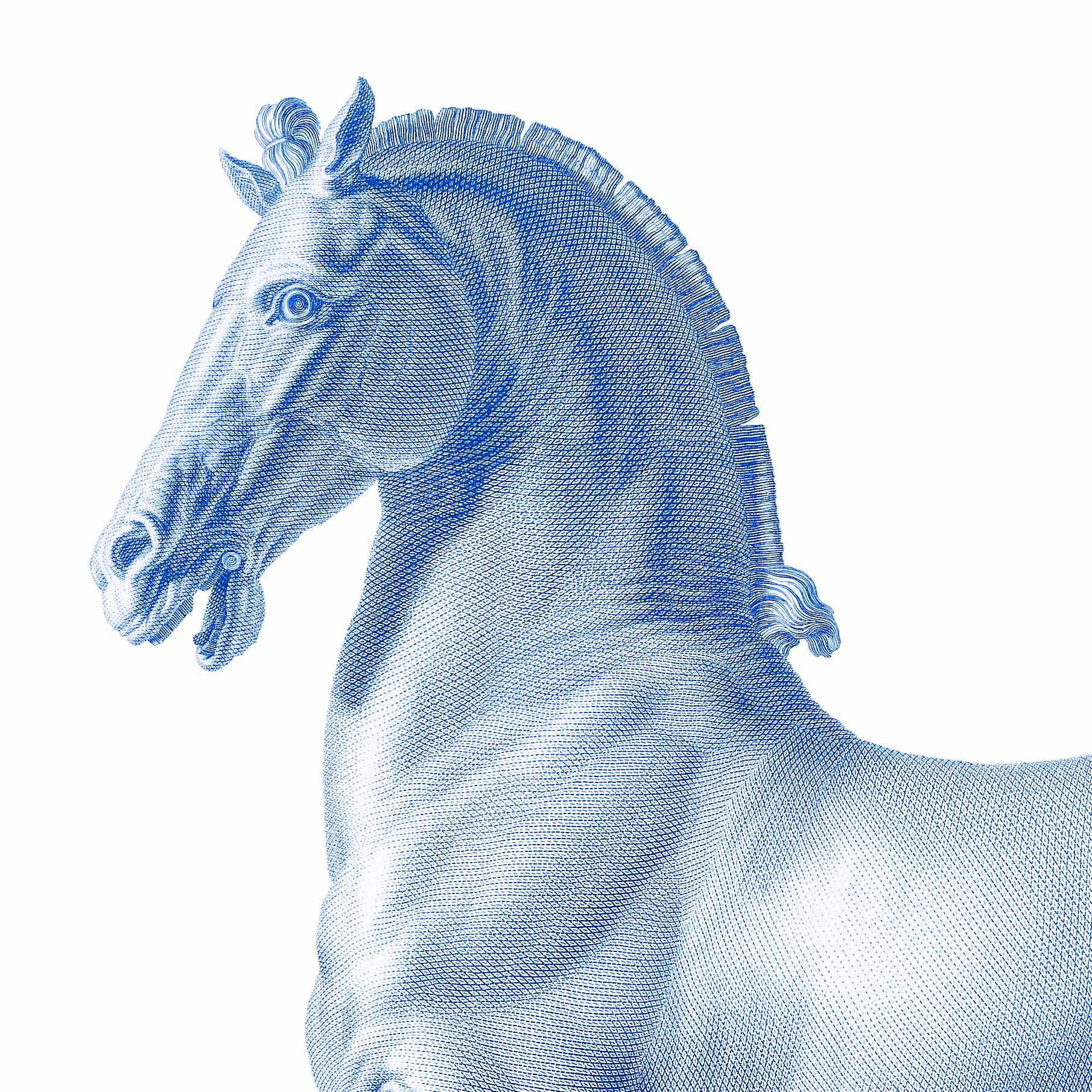 Cavallo
