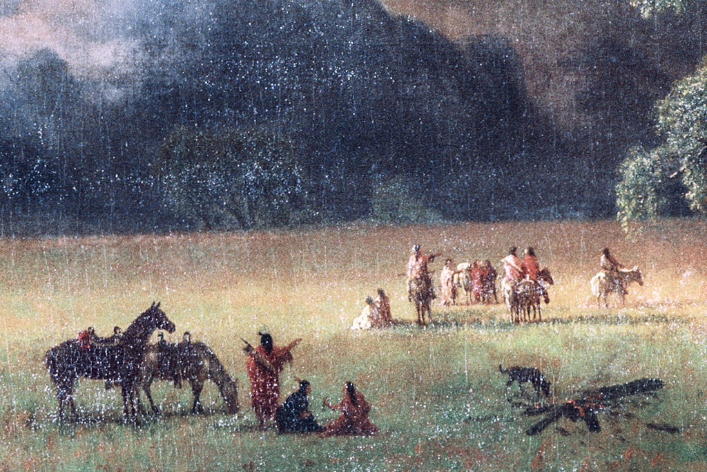 11x14 Gathering at Dawn